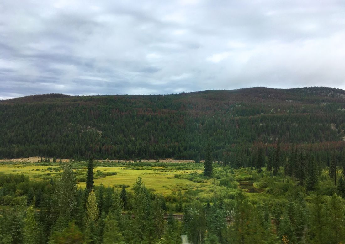 IMG 5654